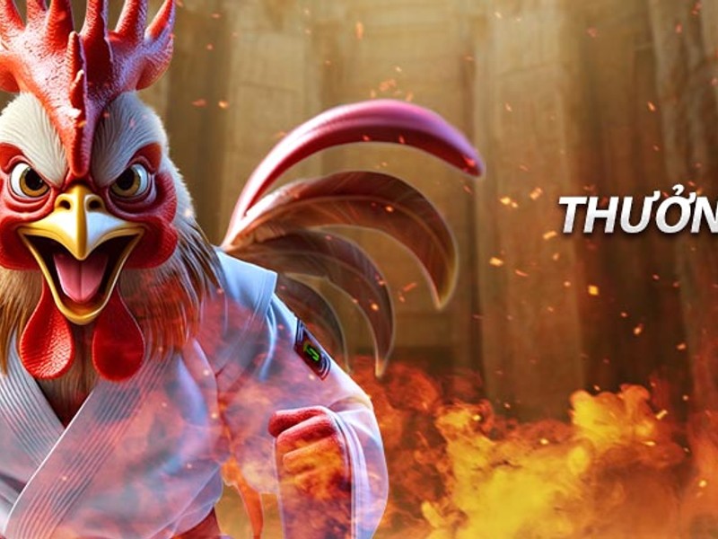 Hình ảnh cuốn sách luật với biểu tượng Bong789, tượng trưng cho các quy định và hướng dẫn cá cược